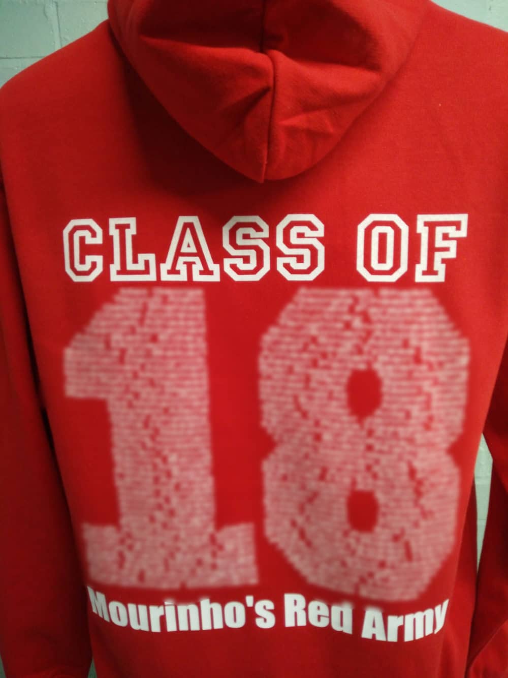 Class of 2018 Lion Leavers Hoodies in Red